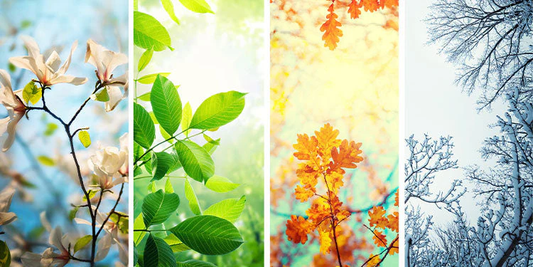 Seasonal Vape Flavours: E-Liquids for Spring, Summer, Autumn & Winter